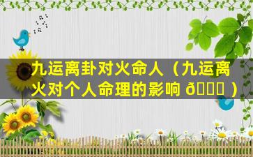 九运离卦对火命人（九运离火对个人命理的影响 🍀 ）